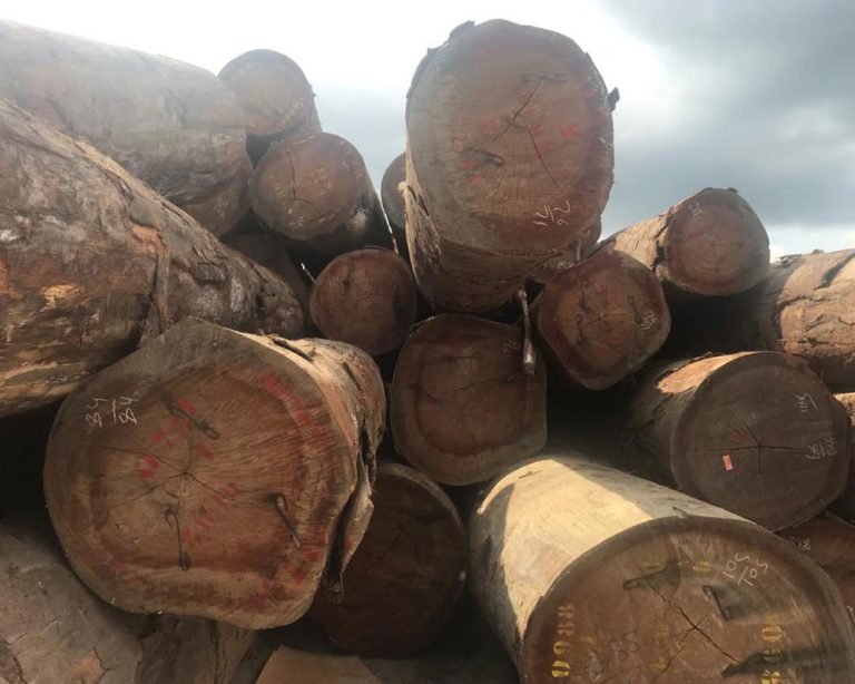 Gabon Timber Industry