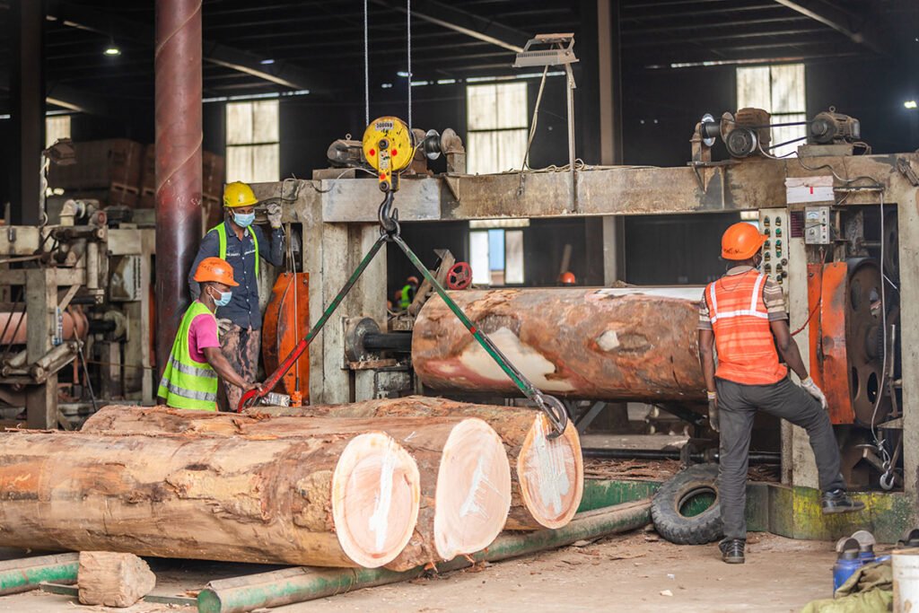 Gabon timber industry, Gabon veneer, Gabon Okoume,